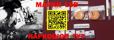 индика Новозыбков