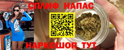 индика Новозыбков