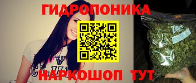 герыч Новодвинск
