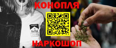 индика Новозыбков